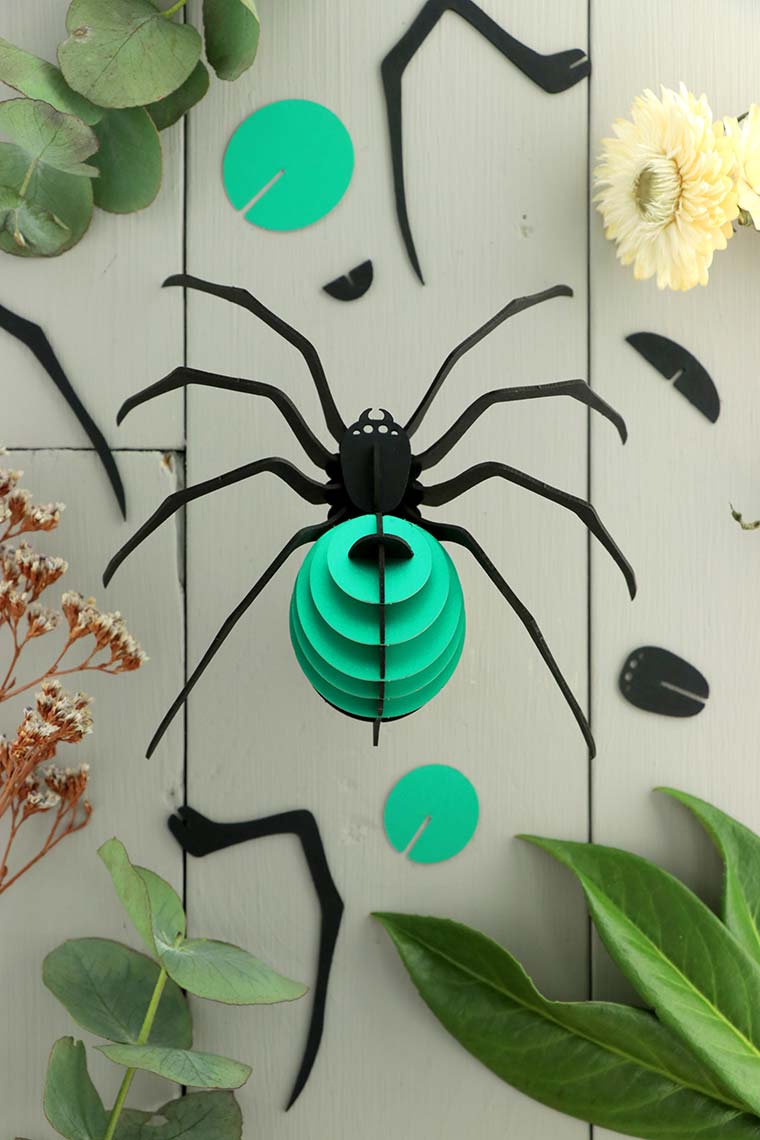 3D-Bastelset DIY-Set DIY - Bastel  - Set - Spinne - türkis bei Nauli and Stories