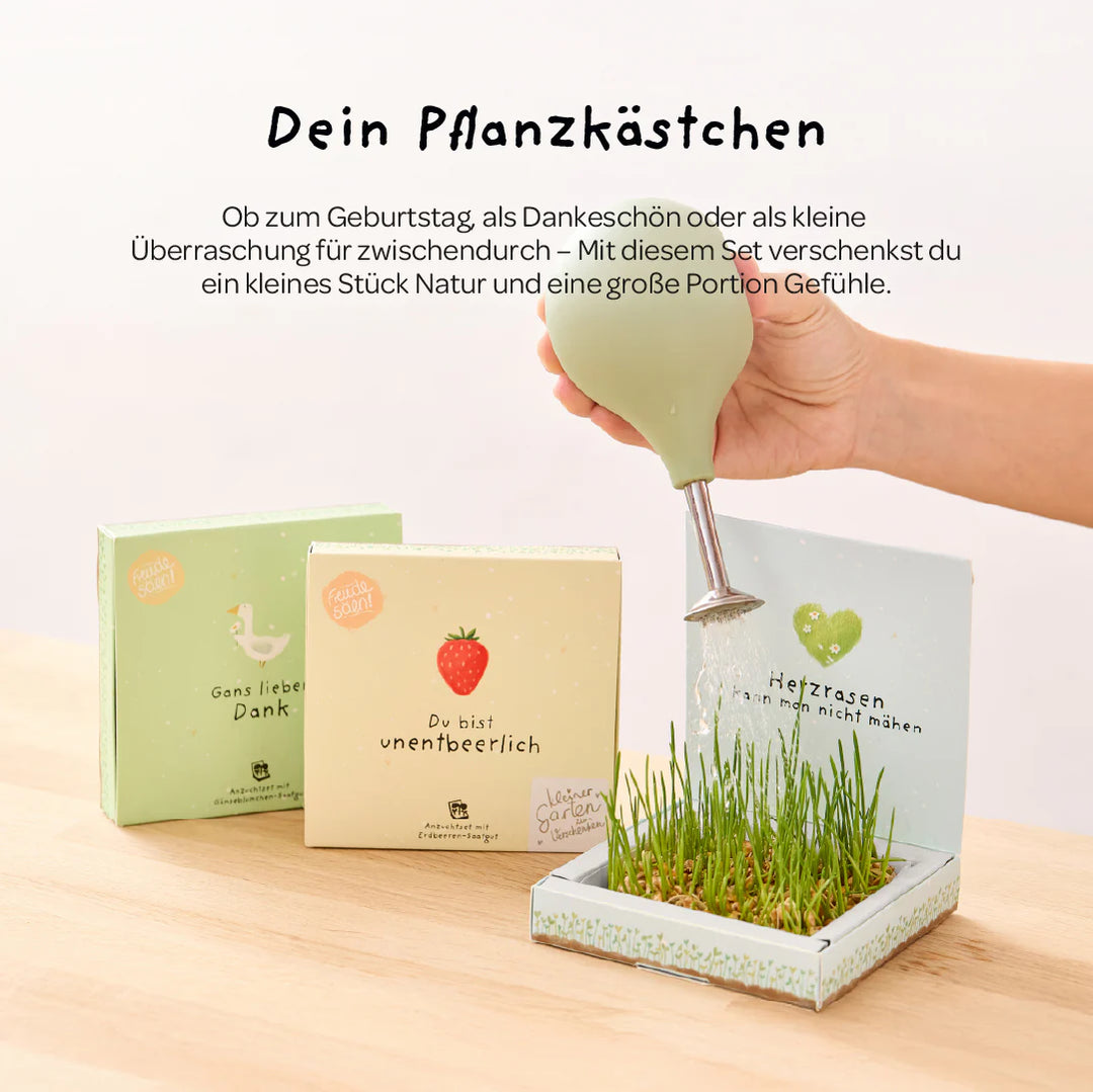Die Stadtgärtner Pflanzkästchen - Viel Erfolg du Glückskind bei Nauli and Stories
