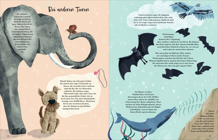 Knesebeck Bilderbuch Mit allen sieben Sinnen bei Nauli and Stories