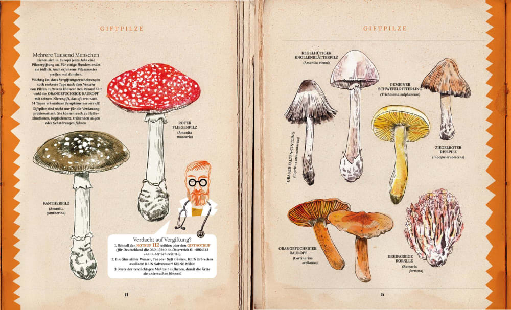 Knesebeck Bilderbuch Pilze - Verrückte Fakten über Fliegenpilz, Hefe und Co bei Nauli and Stories