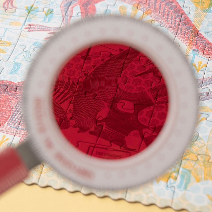 Londji Puzzle Puzzle Discover the Dinosours bei Nauli and Stories