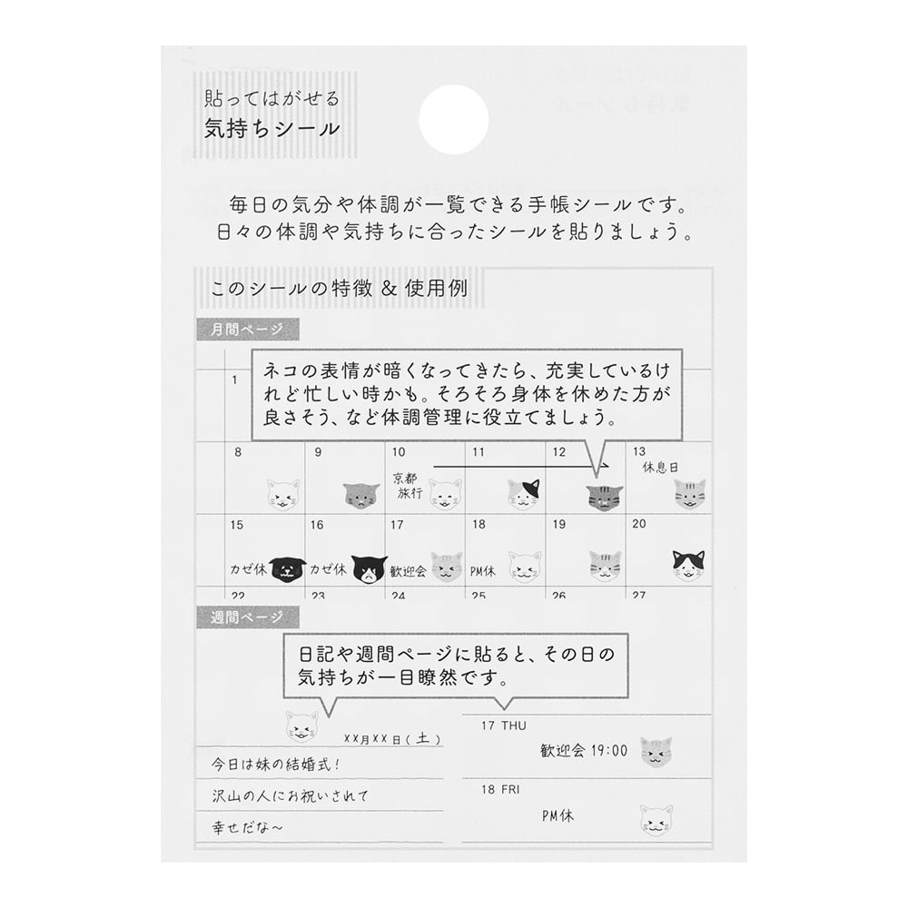 Midori Sticker Feelings Cat Diary Sticker bei Nauli and Stories