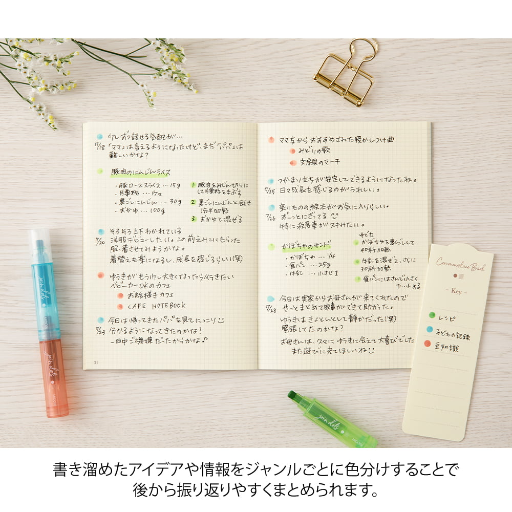 Midori Filzstifte Connecting Pen Join Dots Bright - Textmarker bei Nauli and Stories