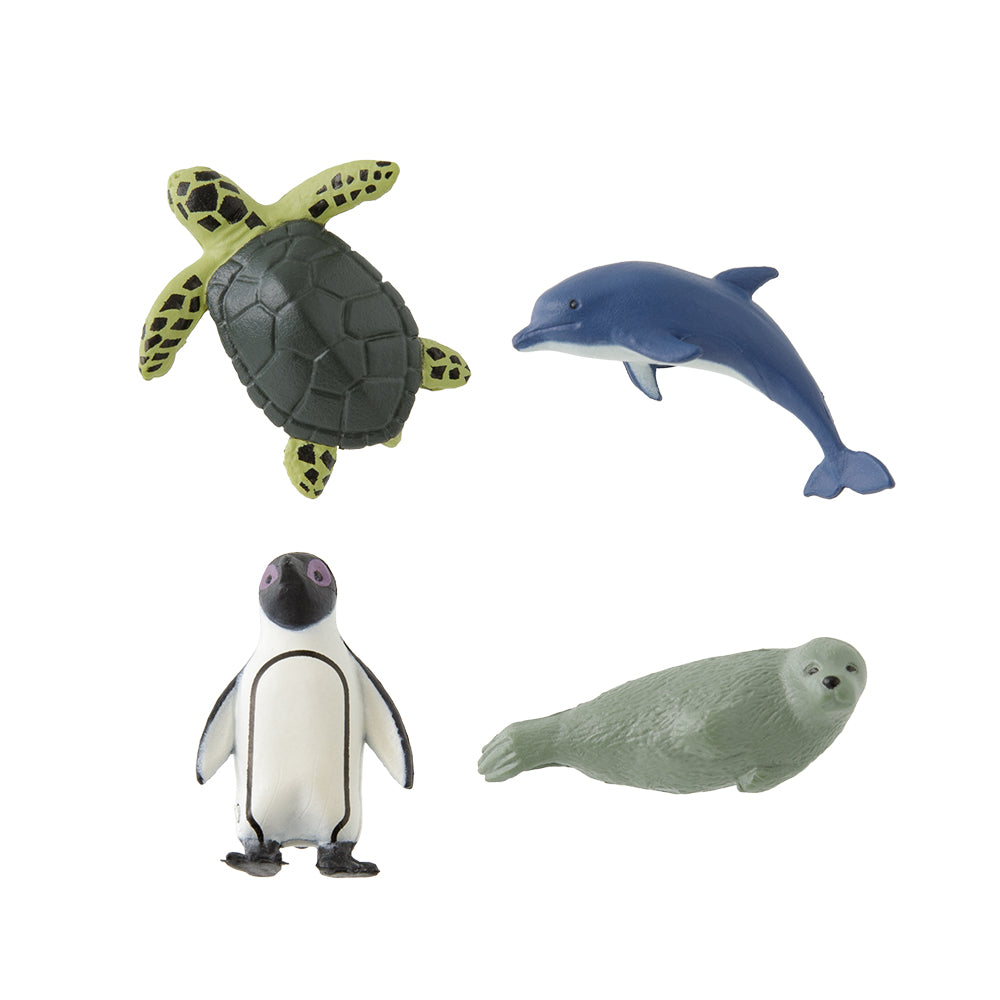Midori Magnet Mini Magnete 4er- Set Aquarium bei Nauli and Stories