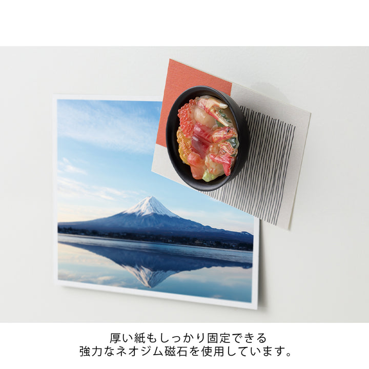 Midori Magnet Miniatur Magnet Seafood bei Nauli and Stories