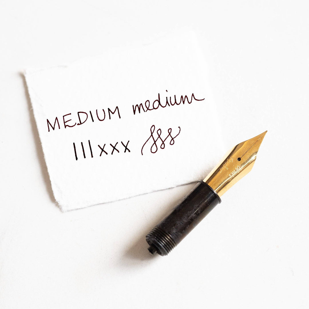 Tom's Studio Füller Fountain Pen Nib - Medium -  für Studio Pocket Fountain Pen 2.0 bei Nauli and Stories