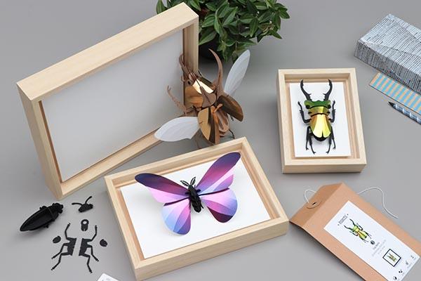 3D-Bastelset Rahmen Rahmen für DIY - Set Insekten S bei Nauli and Stories