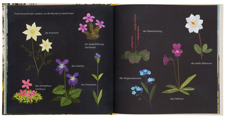 Gestalten Bilderbuch Die goldene Funkelblume bei Nauli and Stories