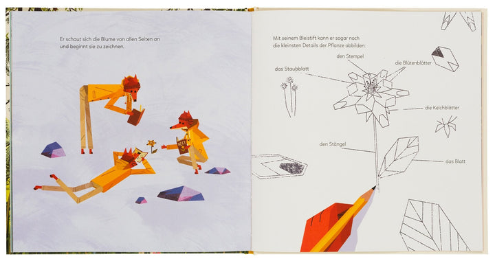 Gestalten Bilderbuch Die goldene Funkelblume bei Nauli and Stories