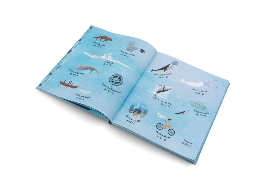 Gestalten Bilderbuch The World of Whales bei Nauli and Stories