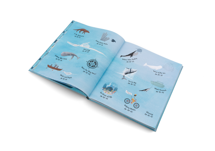 Gestalten Bilderbuch The World of Whales bei Nauli and Stories
