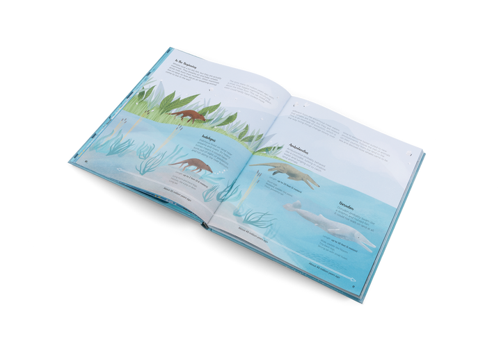 Gestalten Bilderbuch The World of Whales bei Nauli and Stories