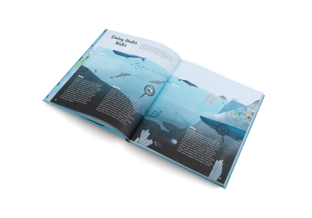 Gestalten Bilderbuch The World of Whales bei Nauli and Stories