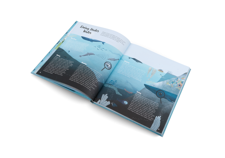 Gestalten Bilderbuch The World of Whales bei Nauli and Stories