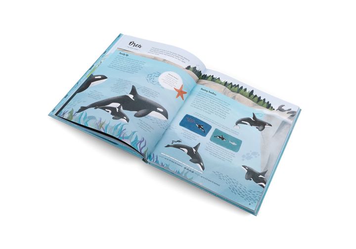 Gestalten Bilderbuch The World of Whales bei Nauli and Stories