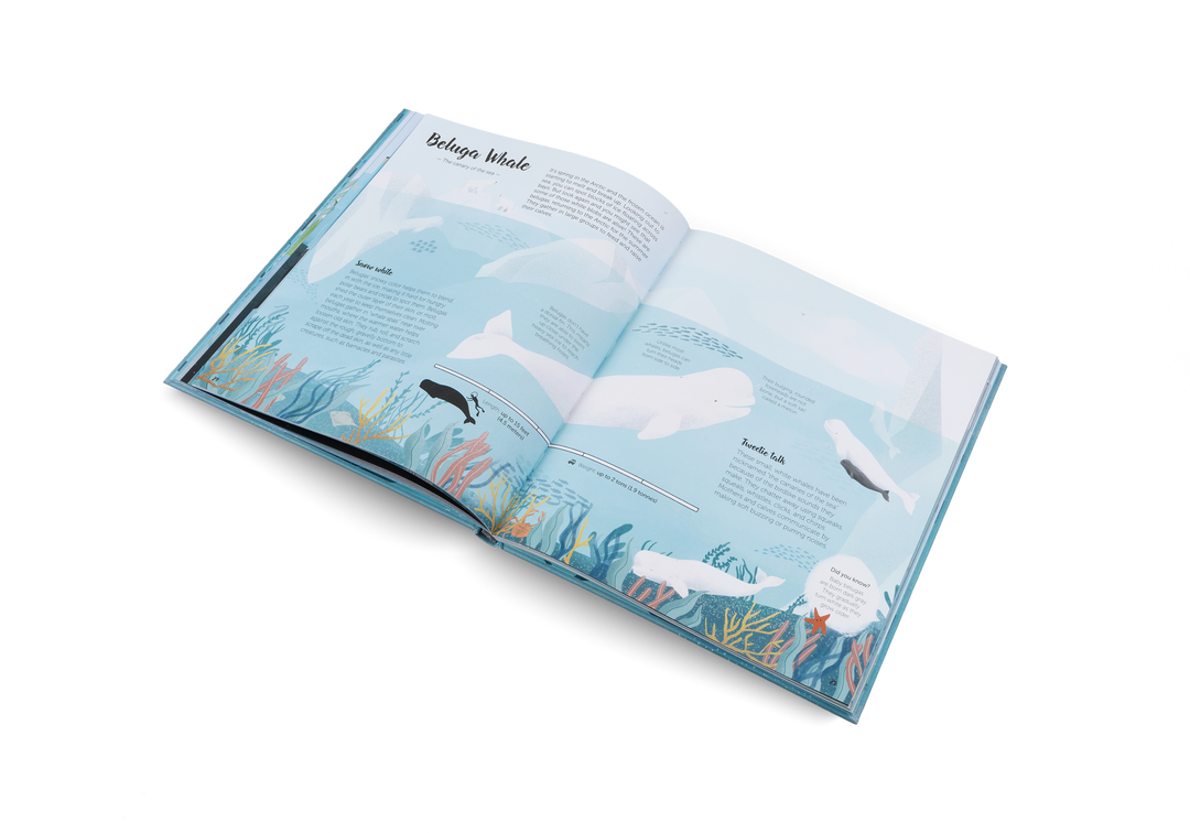 Gestalten Bilderbuch The World of Whales bei Nauli and Stories
