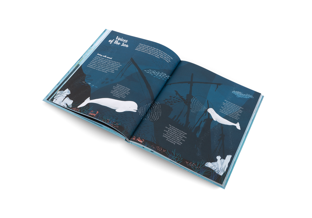 Gestalten Bilderbuch The World of Whales bei Nauli and Stories