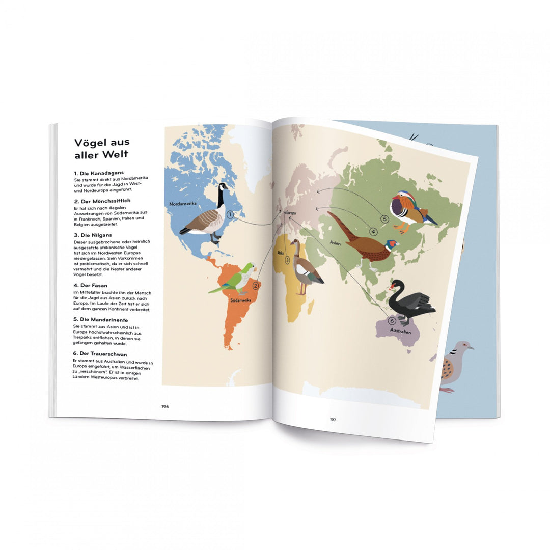 Helvetiq Buch Ornithorama bei Nauli and Stories