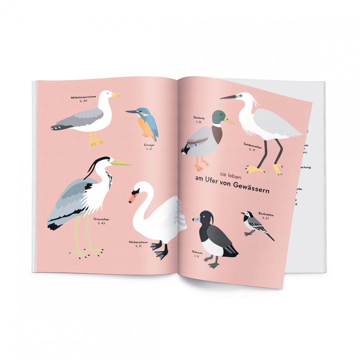 Helvetiq Buch Ornithorama bei Nauli and Stories