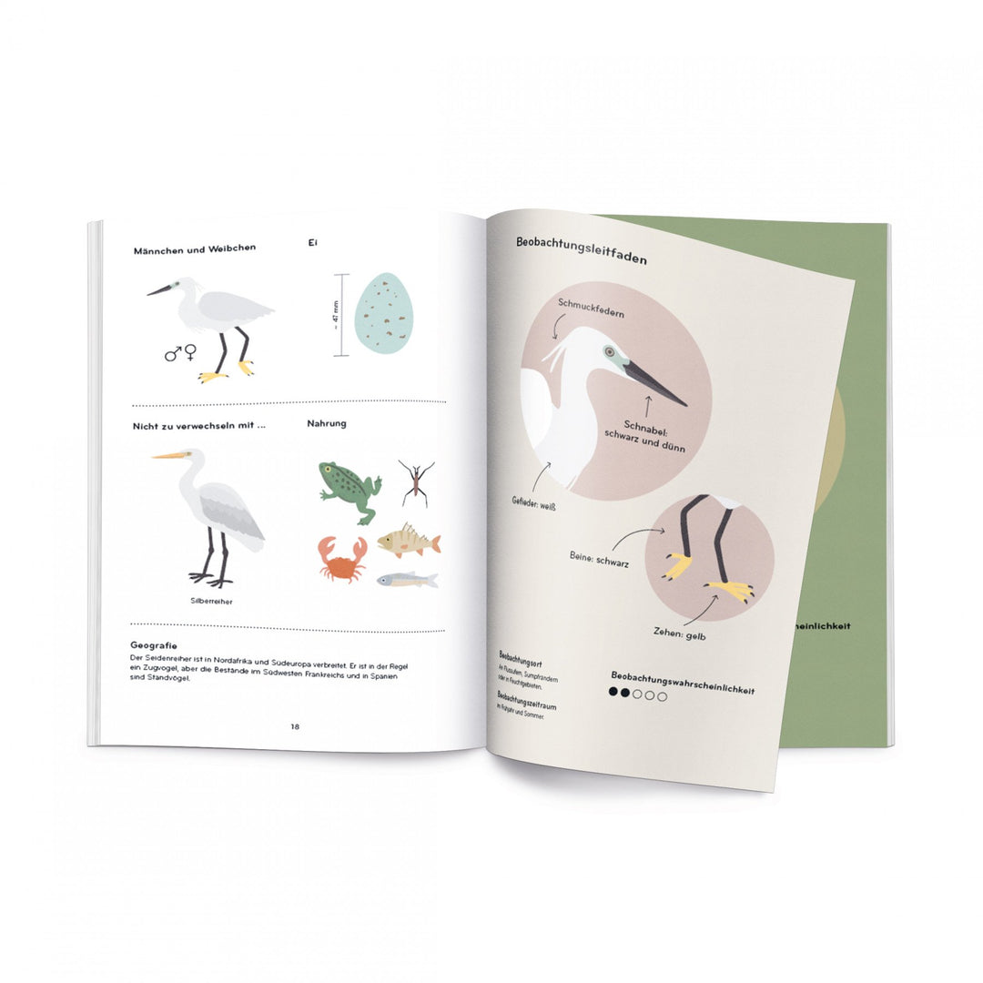Helvetiq Buch Ornithorama bei Nauli and Stories