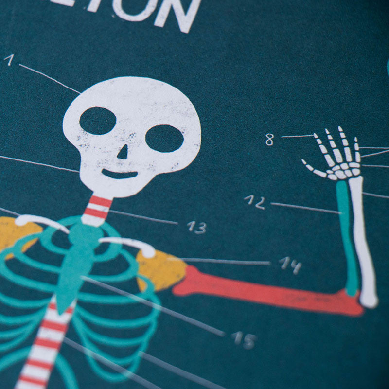 Londji Spiel Inside Me - Lernspiel zur Entdeckung des Körpers bei Nauli and Stories