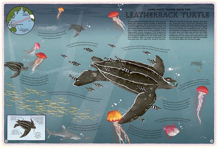 Wide Eyed Editions Bilderbuch Atlas of Ocean Adventures bei Nauli and Stories