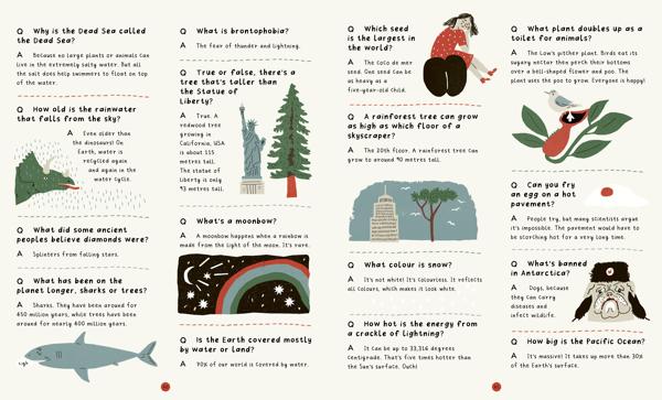 Wide Eyed Editions Bilderbuch The Encyclopedia Of Unbelievable Facts bei Nauli and Stories