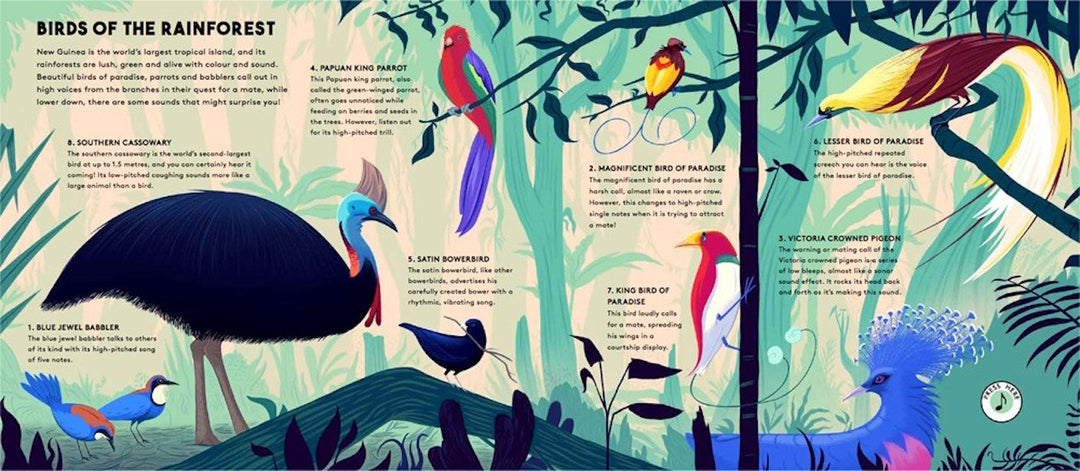 Wide Eyed Editions Bilderbuch WORLD OF BIRDS - Sounds of Nature bei Nauli and Stories