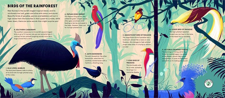 Wide Eyed Editions Bilderbuch WORLD OF BIRDS - Sounds of Nature bei Nauli and Stories